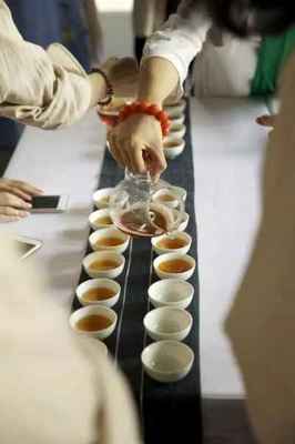 沐坤活茶·茶道 一场身心与自然的对话